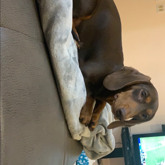 Meet your Posher, Julie - Picture 1 of 1